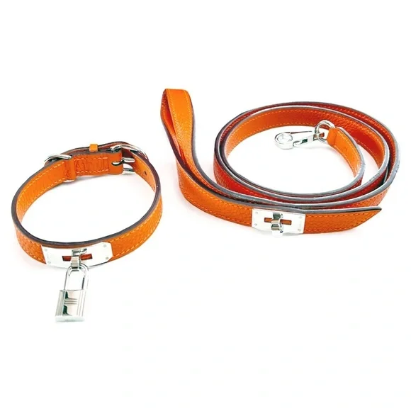 Hermes Orange Pet Collar and Leash Set - Picture 2 of 16